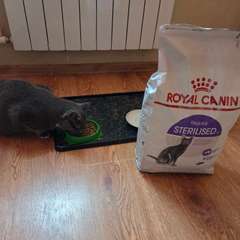 Фото отзыва 10950247