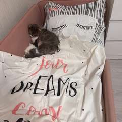 Фото отзыва 10461060