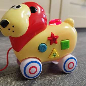 Игрушка BabyGo каталка Лев: отзыв пользователя ДетМир