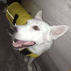 Фото отзыва 10636325