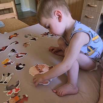 Пазл Бигр Домашние животные, для малышей: отзыв пользователя Детский Мир