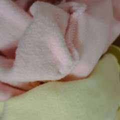 Фото отзыва 10520250