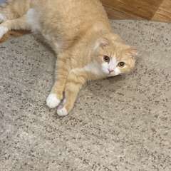 Фото отзыва 10661063