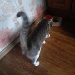 Фото отзыва 10732737