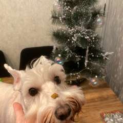 Фото отзыва 10786007