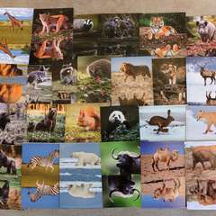 Фото отзыва 11086126