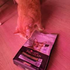 Фото отзыва 10822487