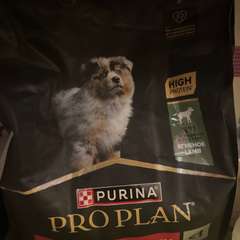 Фото отзыва 10724710