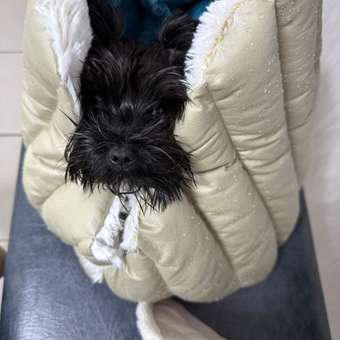 Сумка для животных с мехом Barbaks 50*30*35см: отзыв пользователя. Зоомагазин Зоозавр