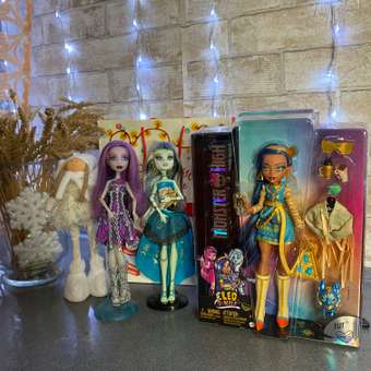 Кукла модельная Monster High Cleo de Nile: отзыв пользователя ДетМир