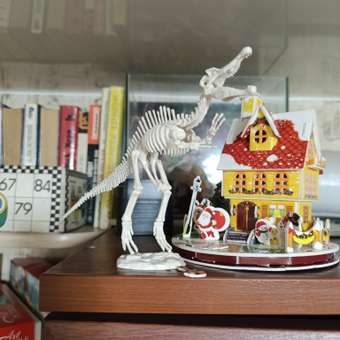 Набор для раскопок Играем вместе Спинозавр и Трицератопс: отзыв пользователя Детский Мир