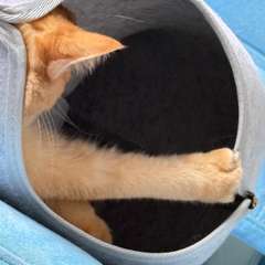 Фото отзыва 11034928