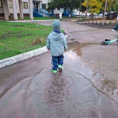 Фото отзыва 10486602