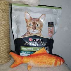 Фото отзыва 10702954