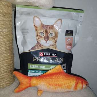 Корм сухой для кошек PRO PLAN 400г с лососем при стерилизации и кастрации: отзыв пользователя. Зоомагазин Зоозавр