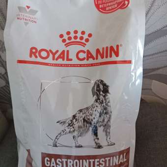 Корм для собак ROYAL CANIN Gastro Intestinal Low Fat LF22 при нарушении пищеварения с ограниченным содержанием жиров 1.5кг: отзыв пользователя. Зоомагазин Зоозавр