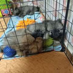 Фото отзыва 10714861