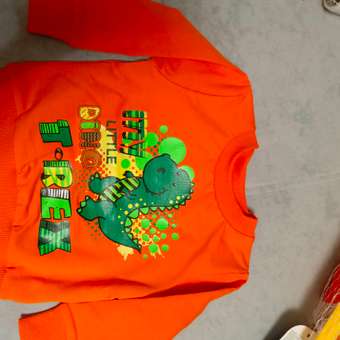 Свитшот Ивбэби: отзыв пользователя Детский Мир