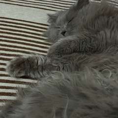 Фото отзыва 10721292