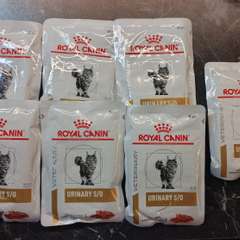 Фото отзыва 11005190