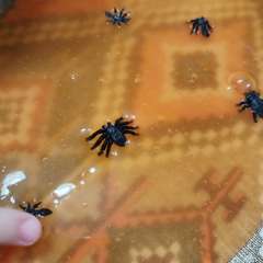 Фото отзыва 10986066