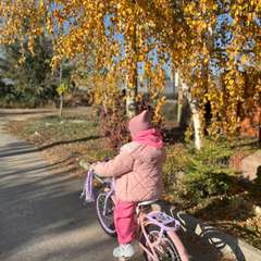 Фото отзыва 10548591