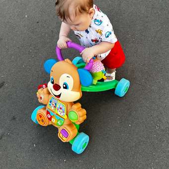 Ходунки Fisher Price Ученый Щенок с ручкой: отзыв пользователя ДетМир