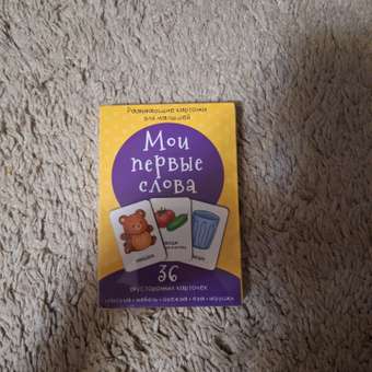 Набор карточек БимБиМон Мои первые слова: отзыв пользователя Детский Мир