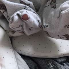 Фото отзыва 10953333