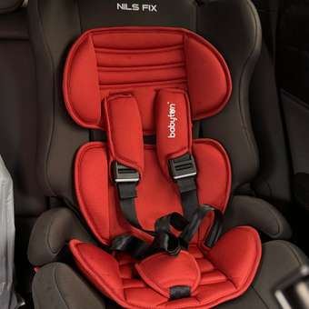 Автокресло Babyton Nils FIX I/II/III clay grey Isofix 1/2/3 (9-36 кг) красный: отзыв пользователя Детский Мир