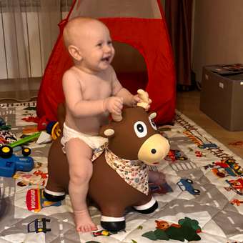 Фитбол LAKO SPORT: отзыв пользователя Детский Мир