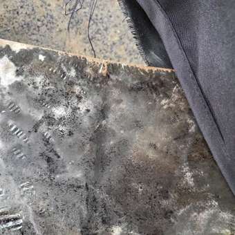 Коляска прогулочная BabyCare Venga бежевый: отзыв пользователя Детский Мир