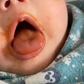 Пюре Беллакт Морковь с 4 мес 100 г 3 упак.: отзыв пользователя Детский Мир