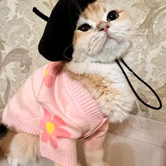 Игрушка для кошек Barbaks Клубок из пряжи 6см Розовый: отзыв пользователя. Зоомагазин Зоозавр