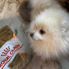 Фото отзыва 10789862