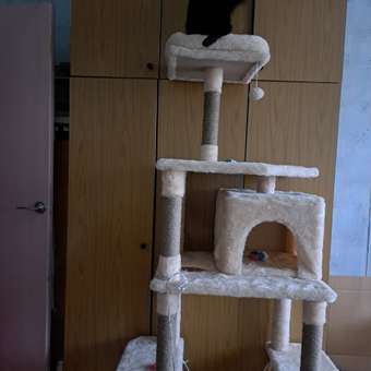 Игровой комплекс для кошек дом Pet БМФ Бежевый: отзыв пользователя. Зоомагазин Зоозавр