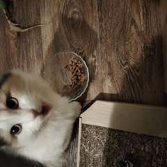 Фото отзыва 10760202