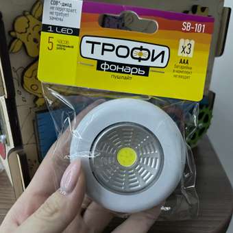 Игрушка Деревянный Дом бизиборд: отзыв пользователя Детский Мир