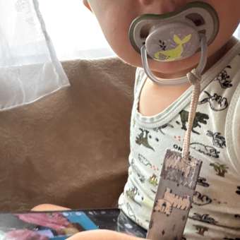 Пустышка Philips Avent силикон ортодонтическая от 6 мес. 2 шт.: отзыв пользователя ДетМир