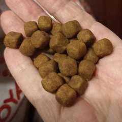 Фото отзыва 10610812