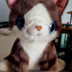 Фото отзыва 11186559