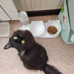 Фото отзыва 10935129