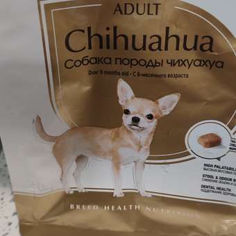 Корм для собак ROYAL CANIN породы чихуахуа 500г: отзыв пользователя. Зоомагазин Зоозавр