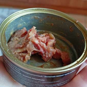 Корм для собак Четвероногий Гурман 100г Golden конина натуральная в желе: отзыв пользователя. Зоомагазин Зоозавр