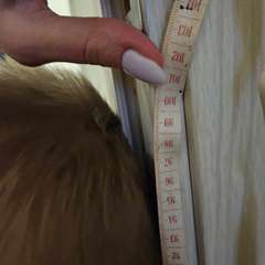 Фото отзыва 10676747