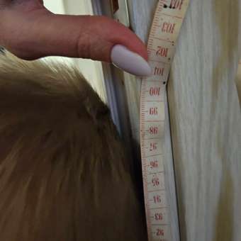 Комбинезон Futurino: отзыв пользователя Детский Мир