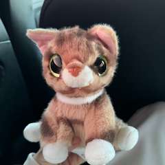 Фото отзыва 11172618