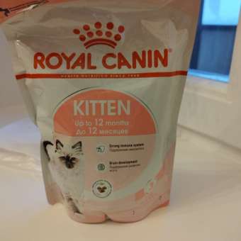 Корм сухой для котят ROYAL CANIN Kitten 300г: отзыв пользователя. Зоомагазин Зоозавр
