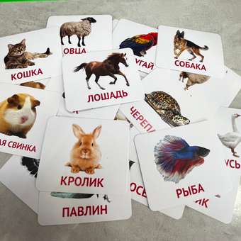 Настольная игра Крокуспак: отзыв пользователя Детский Мир