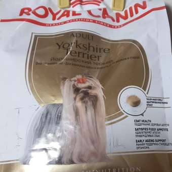 Корм для собак ROYAL CANIN породы йоркширский терьер 500г: отзыв пользователя. Зоомагазин Зоозавр